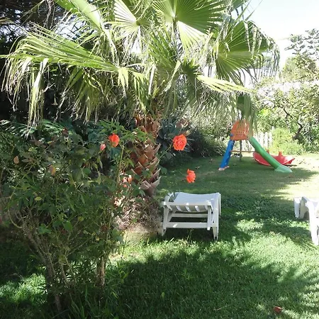 Em Moradia Com Jardim